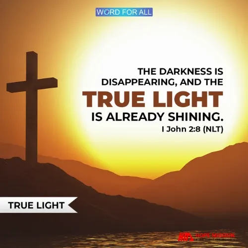 THE DARKNESS IS DISAPPEARING, AND THE TRUE LIGHT IS ALREADY SHINING.