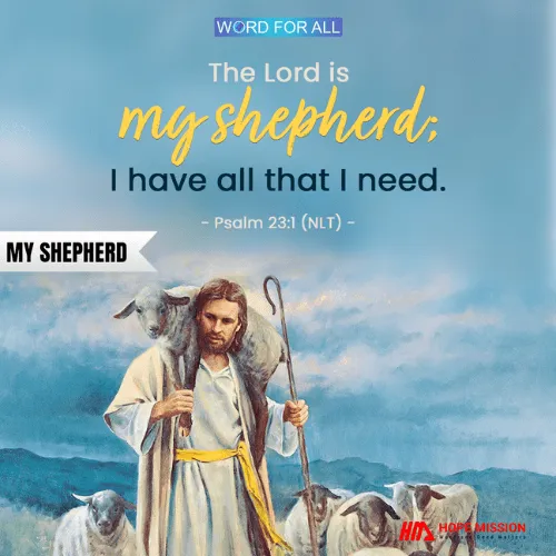 The Shepherd Who Provides