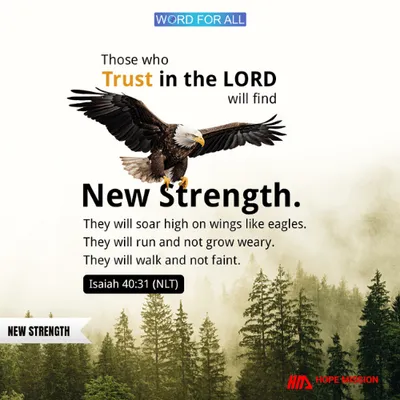 Those who trust in the LORD will find new strength