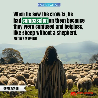 WHEN HE SAW THE CROWDS, HE HAD COMPASSION ON THEM.